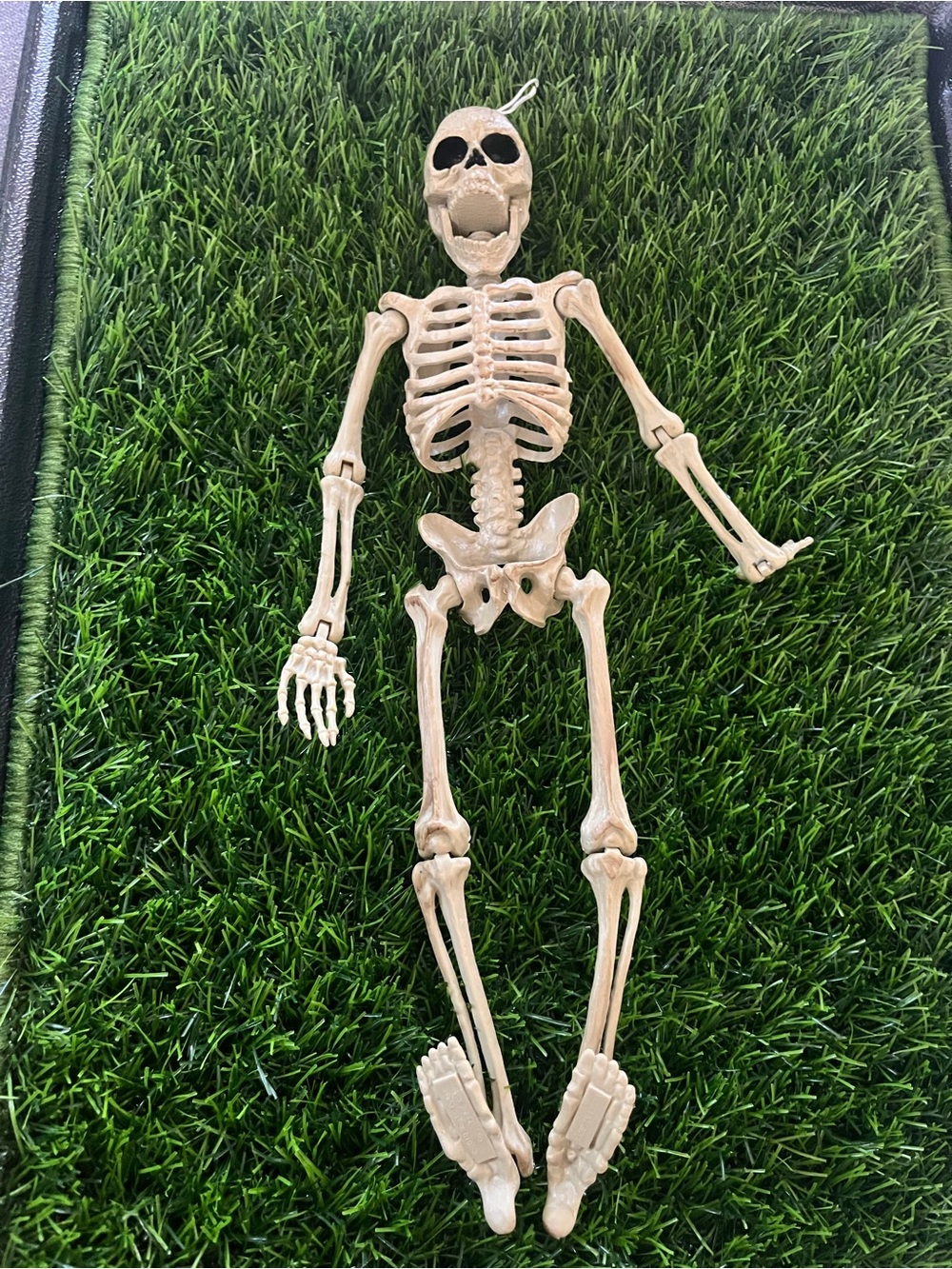 Decorative Cream Plastic Skeleton Accent - Home Accents
